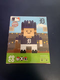 Detroit Tigers Brxlz