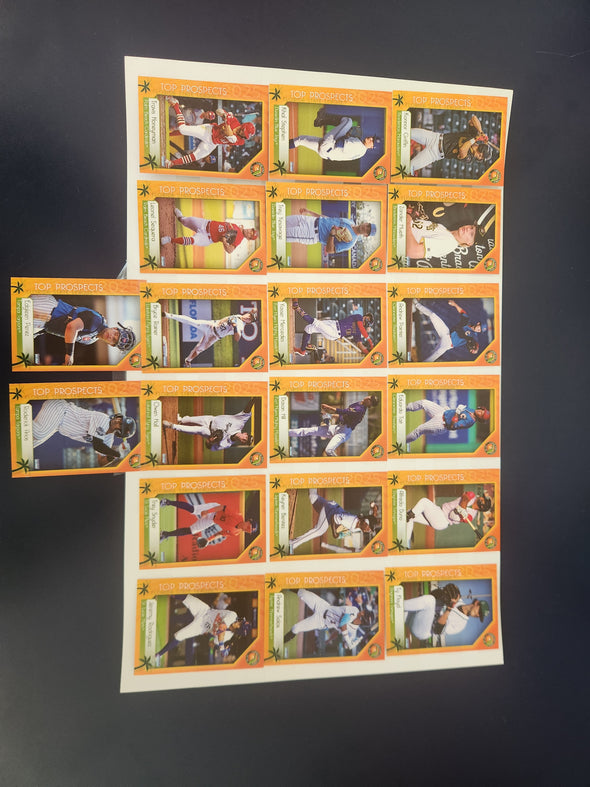 2025 Florida League Top Prospects Card Pack