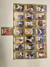 2025 Florida League Top Prospects Series 2