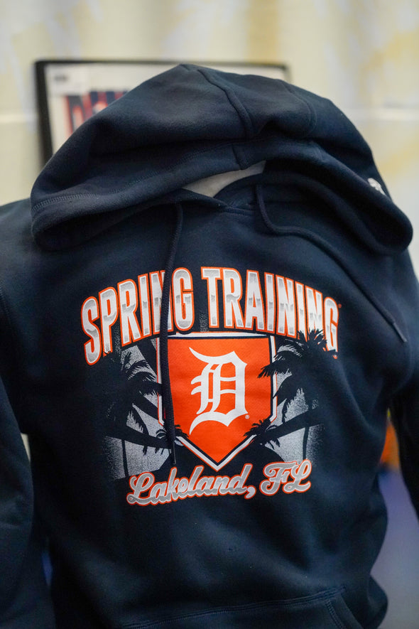 Detroit Tigers Men's Team/City Hoodie